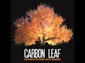 Carbon Leaf - Miss Hollywood