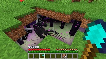 HOW NOOB FOUND END WORLD UNDERGROUND!? Minecraft NOOB vs PRO! 100% TROLLING BUNKER SECRET TRAP BASE