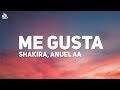 Anuel AA, Shakira - Me Gusta (Letra / Lyrics)