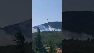 Aydos Ormanındaki Yangına Çok Sayıda Helikopter Müdahale Ediyor. Resimi