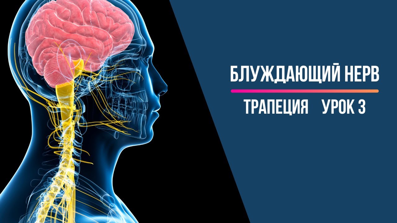 Блуждающий нерв Активация - YouTube