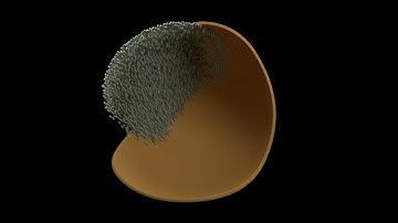 Blender Molecular Script - 2 - Wind Force Field Test