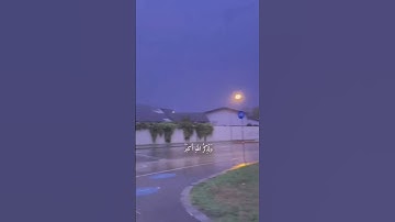 ﴿إِنَّ الصَّلاةَ تَنهى عَنِ الفَحشاءِ وَالمُنكَرِ ﴾ [العنكبوت: ٤٥] القارئ:عبد الرحمن مسعد#قرآن_كريم