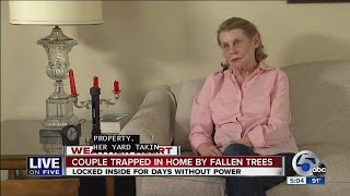 Trapped by Trees