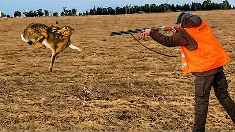 CHASSE PERDRIX ET LIEVRE 2025 AU MAROC/HUNTING PARTRIDGE AND HARE 2025