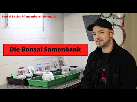 Video: Bonsai aus Samen zu Hause züchten