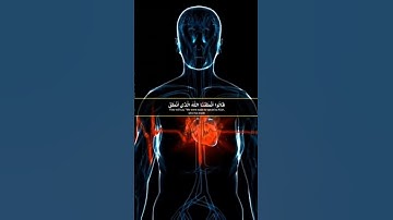 تلاوة خاشعة﴿وقالوا لجلودهم لم شهدتُم علينا} بصوت شيخ القُرّاَ عبدالباسط عبدالصمد رحمه الله،لايفوتكم👍