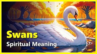 Spiritual Meaning of Swans (Dreams, Encounters & Historical Symbolism)