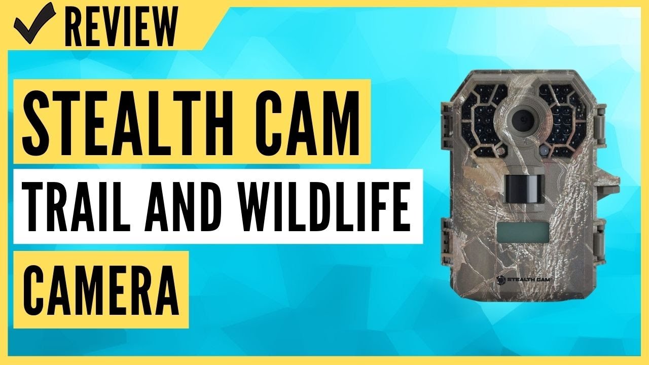 Stealth Cam G42NG No Glo Trail and Wildlife Camera Review
