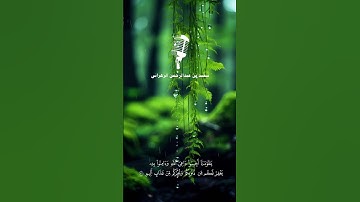 " يا قومنا أجيبوا داعي الله " تلاوة إبداعية بصوت سعيد الزهراني 9-6-1445هـ