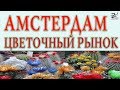 Цветочный рынок Амстердама. Достопримечательность города.