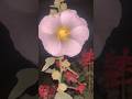 White hollyhocks flower 🤍 #youtube #nature #flowers #trending #love #garden #viral #viralvideos #yt