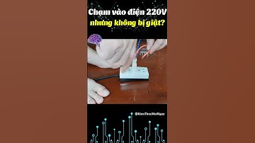 Chạm vào điện 220V nhưng không bị giật? #kienthucmoingay #khoahoc #vatly