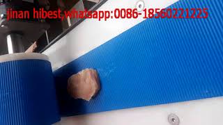 single lane chicken slicing machine