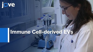 Immune Cell-derived EVs Characterization to Study Cell Impact | Protocol Preview