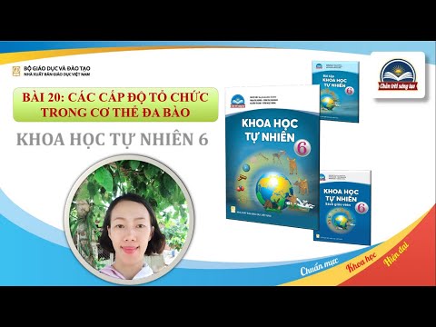 Video: 6 cấp độ tổ chức trong giải phẫu học là gì?