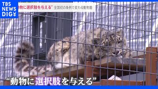“動物に選択肢を与える”コロナで“ふれあい中止”で分かったコト…全国初の条例で変わる動物園｜TBS NEWS DIG