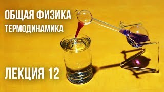 Лекция 12 | Термодинамика | Поверхностные явления (продолж.)