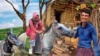 IRAN Kurdish Rural life: 3 days in the mountains with difficult conditions the presence of scorpions