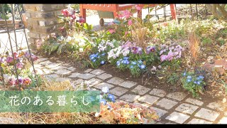 ガーデニングと暮らし｜春の庭を華やかにする｜春の寄せ植え作り｜自分の嫌いなところ｜自家製レモンでマフィンを作る