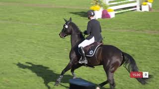 Mondial du lion 2018 : Les meilleurs moments du CSO des 6 ans