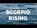 Scorpio Asc /7th House Taurus: All You NEED To Know (First Impression) 2019