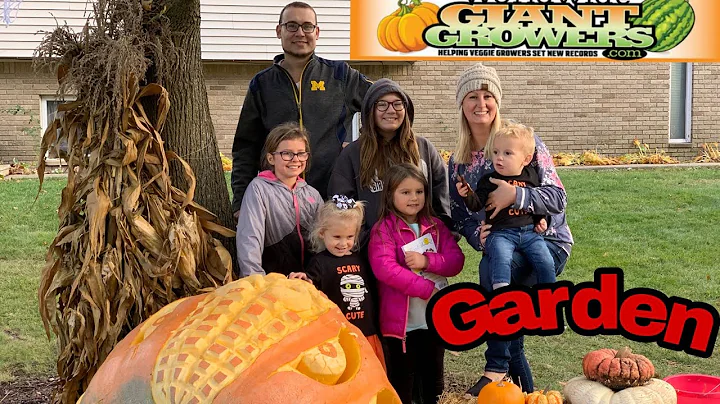 GIANT PUMPKIN First year Franks season results