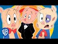 Looney Tunes en Français | Pauvre Porky! | WB Kids