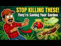12 BUGS You Should NEVER Kill in Your Garden (Most Gardeners Get This Wrong)