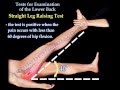 Tests For Examination Of The Lower Back - Everything You Need To Know - Dr. Nabil Ebraheim