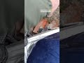 Запуск после зимы