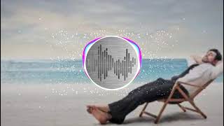 DJ music | BASS BOOSTED DJ | Relaxing Music | BEATS MSC