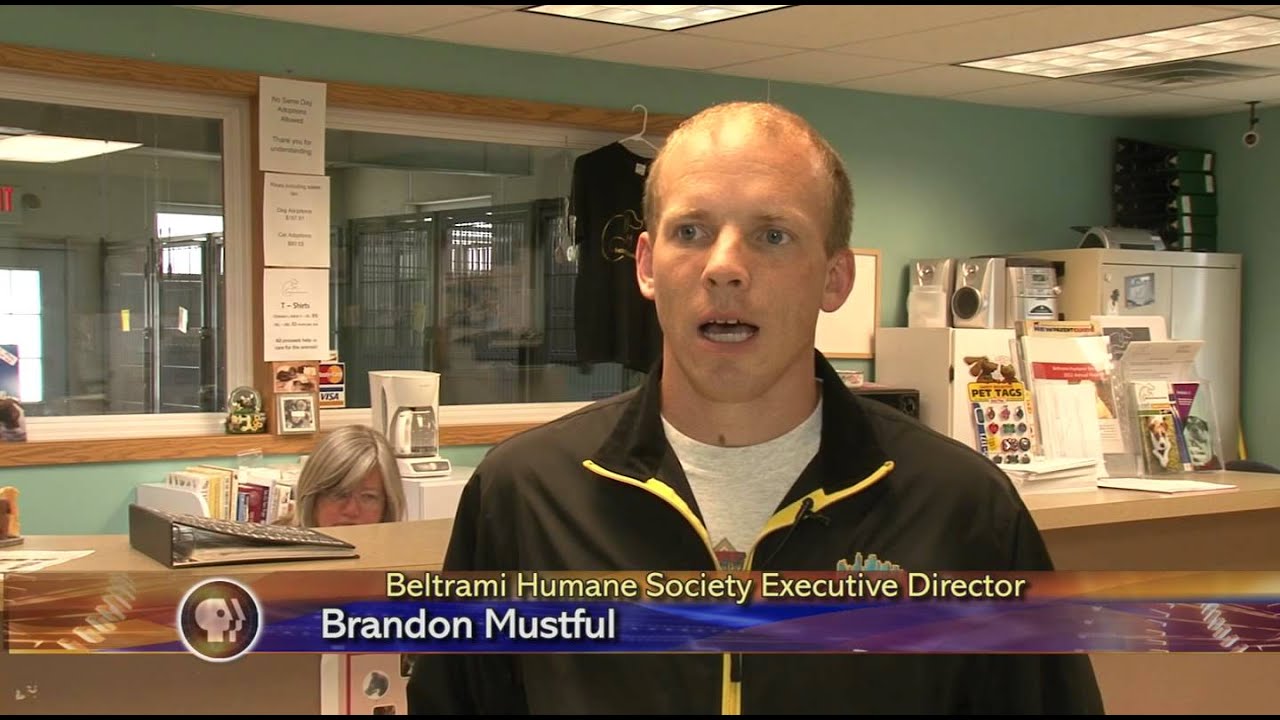 Beltrami Humane Society New Program Lakeland News At Ten July 5 2013 Youtube
