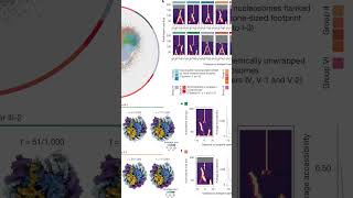 AI discovery reveals DNA isn't locked away in cells after all