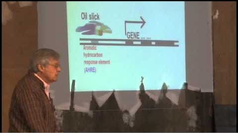 Making Transgenic Fish to Detect Pollutants in Water | Daniel Nebert | TEDxCincinnatiChange