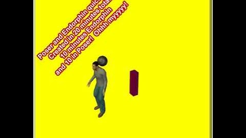 POSER AND ENDORPHIN QUICK TEST