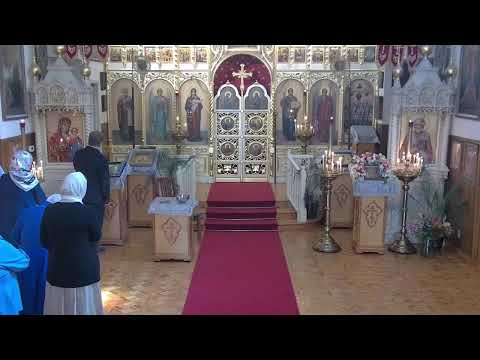 Video: Den katolske kirke St. Stanislav beskrivelse og fotos - Hviderusland: Mogilev