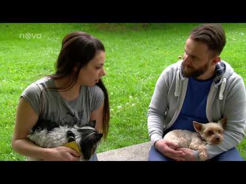 Video: Jak zacházet s citlivým žaludkem psa