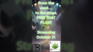 From A Seed To The Stage.