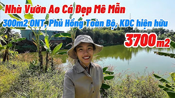 Anh Chủ Nói Ra Nhanh Dùm Anh Kẹt Lắm Rồi | Nhà Vườn Ao Cá Sẵn Thổ Cư - Phủ Hồng Toàn Bộ Gần Quốc Lộ