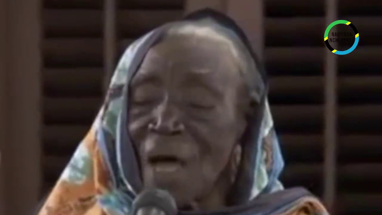 HISTORIA YA KISWAHILI KIARABU, KIAJEMI, KIHINDI NA LUGHA ZA ASILI ZIMECHANGIA MISAMIATI YA KISWAHILI