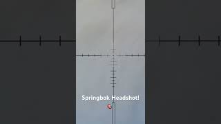 Springbok Headshot! #hunting #springbok #headshot #triggercam