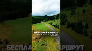 🚀 Бесплатный туристический маршрут, за который гиды берут деньги: Золотое кольцо Алтая!
