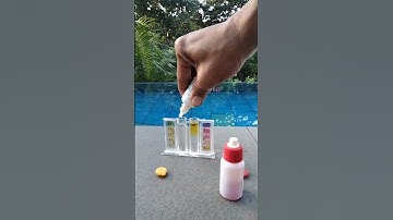 Pool Test Kit