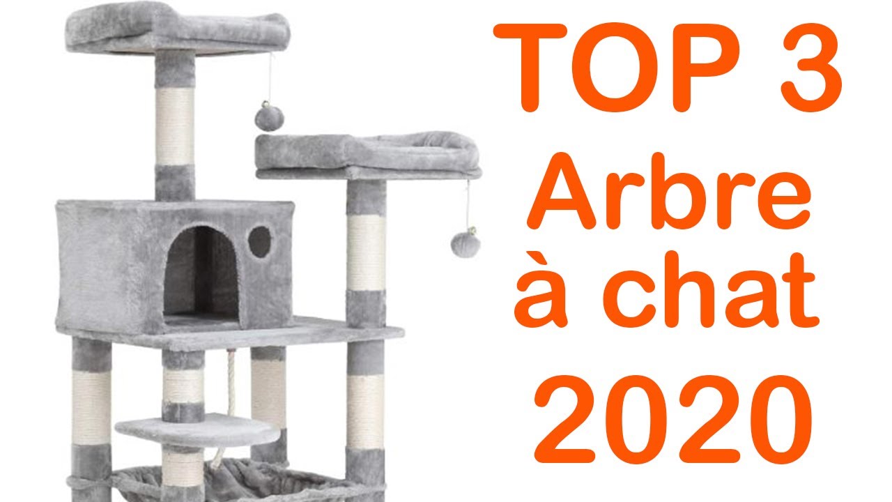 TOP 3 : Meilleur Arbre à Chat 2020 