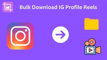 How to bulk download Instagram profile reels?
