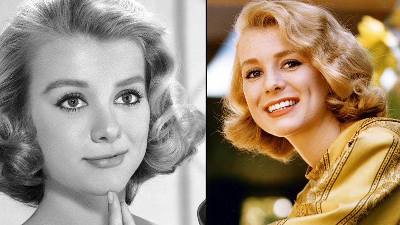 In 1959, Inger Stevens swallowed an overdose of pills and was not expected to recover. The Swedish-born actress had built a Hollywood career on warmth...