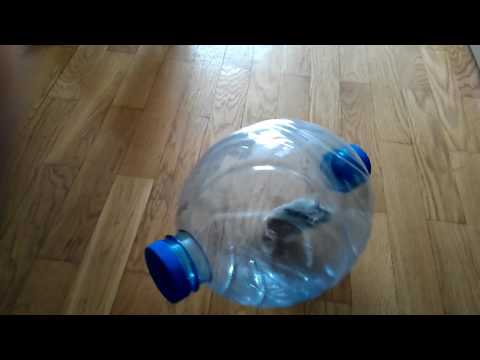 Прогулочный шар