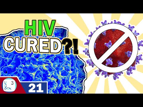 Video: A Second Case Of Cure For HIV Infection Has Been Confirmed - Alternative View