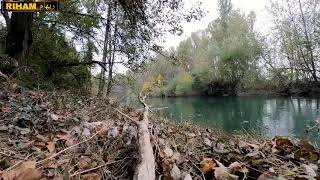 Relaxing River Sounds - Peaceful Forest River -  2 Hours Long - Nature Video